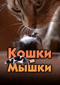 Игра в кошки-мышки