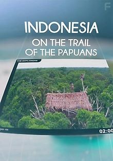 Индонезия. По следам папуасов