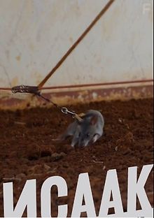 Исаак. История маленького гиганта