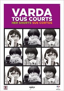 Исчезающий лев