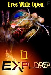 Исследователь 2.0: Раскройте пошире глаза