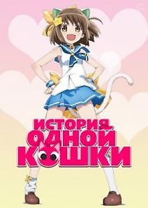 История одной кошки