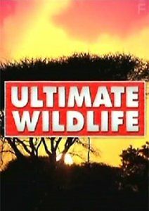 Из жизни животных