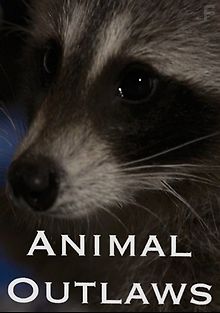 Изгои среди животных. Животные-разбойники