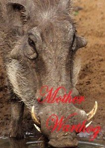 Кабанья мама