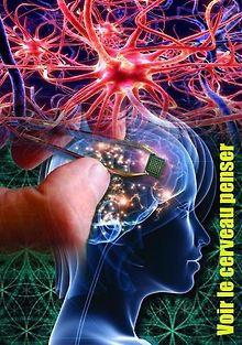 Как думает наш мозг