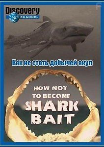 Как не стать добычей акул
