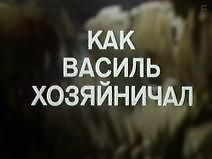 Как Василь хозяйничал