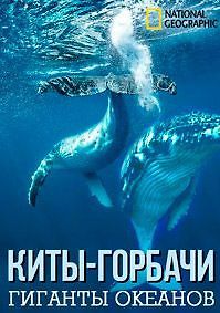 Киты-горбачи: гиганты океанов