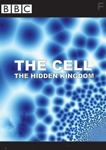 Клетка, или Из чего состоит жизнь