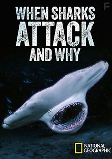 Когда акулы нападают... и почему