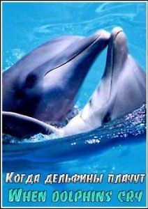 Когда дельфины плачут