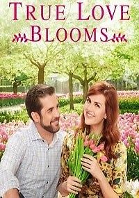 Когда расцветает любовь