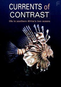 Контрастные океаны