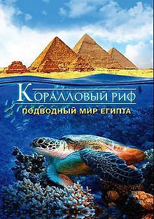 Коралловый риф 3D: Подводный мир Египта