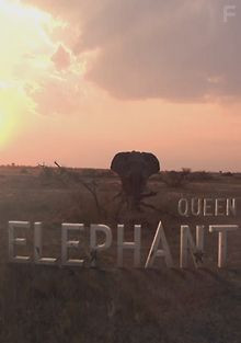 Королева слонов