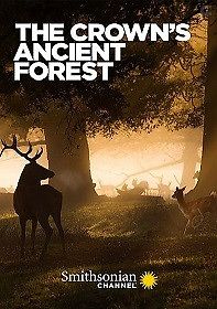 Королевский лес