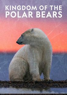 Королевство белых медведей