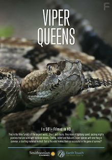 Королевы гадюк