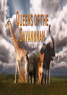 Королевы саванны. Искусство быть королевой