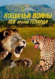 Кошачьи войны: Лев против Гепарда