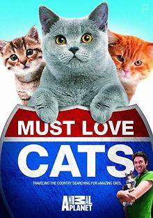 Кошек не любить нельзя