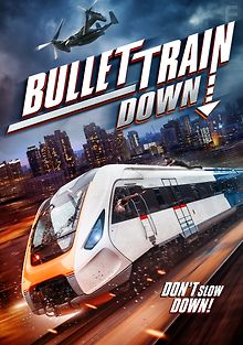 Крушение скоростного поезда