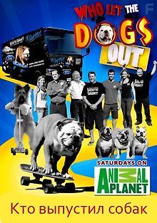 Кто выпустил собак