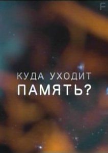 Куда уходит память?
