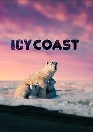 Ледяное побережье