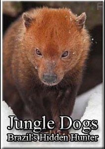 Лесные собаки. Охотники, скрытые в лесах
