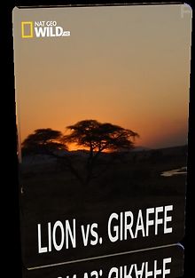 Лев против жирафа