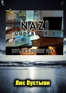 Лис пустыни. Последние тайны Третьего рейха