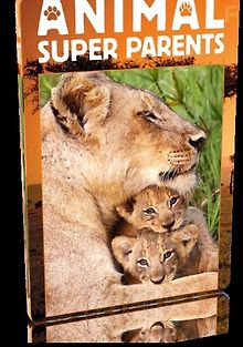 Лучшие родители в мире животных