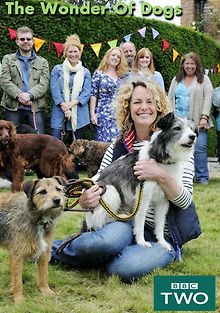 Лучший друг человека