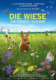 Луг - рай рядом с нами