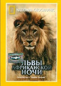 Львы африканской ночи