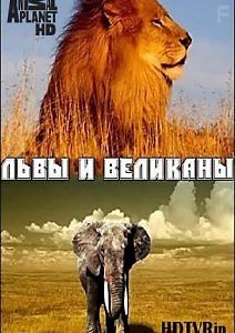 Львы и Великаны
