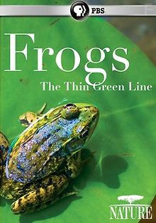 Лягушки на грани исчезновения