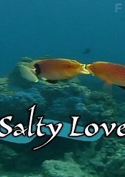Любовь в соленых водах