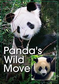 Любовное гнездышко для панд