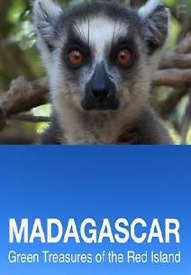 Мадагаскар. Зеленые сокровища Красного острова