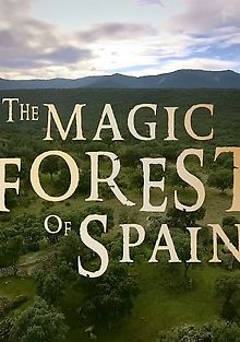 Магический лес Испании