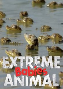 Малыши-экстремалы