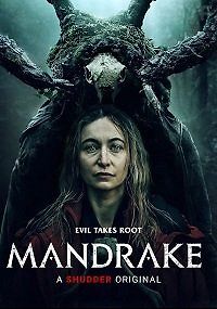 Мандрагора