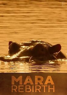 Мара: Возрождение