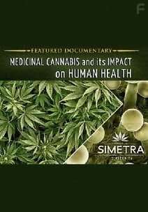 Марихуана и ее воздействие на здоровье