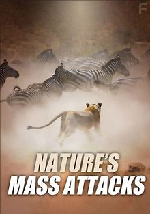 Массовые атаки в природе