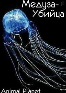 Медуза-Убийца