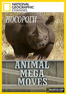 Мега переезды животных